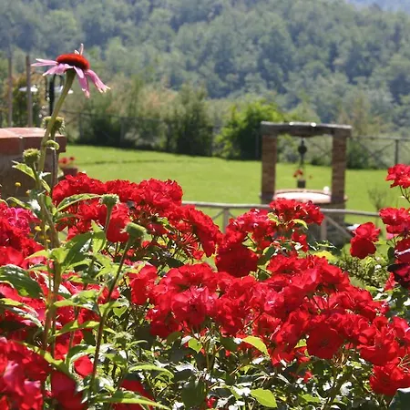 Natouroasi Agriturismo Landsted Monte San Savino